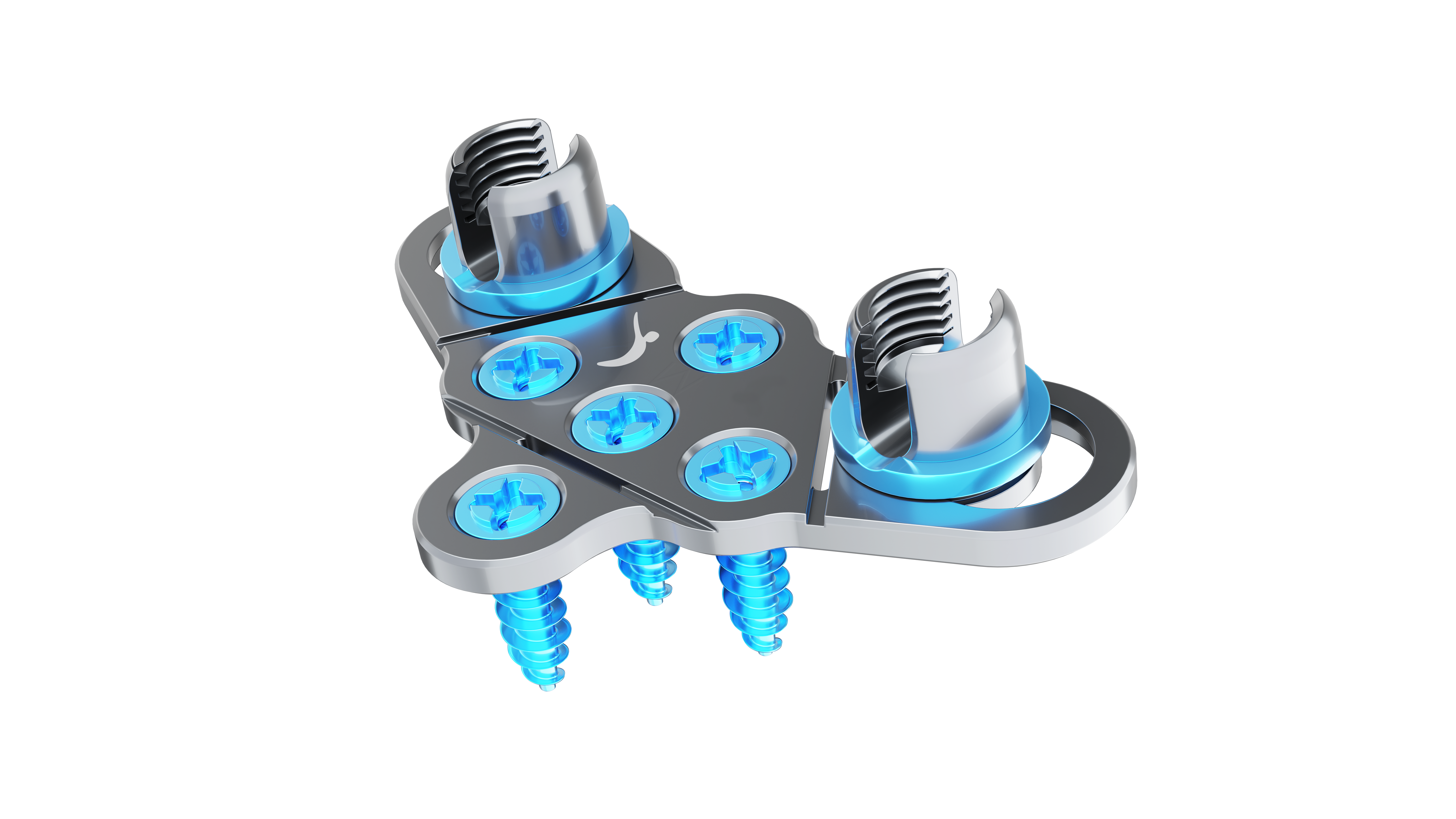 Posterior Cervical Occipital Plate & Screws